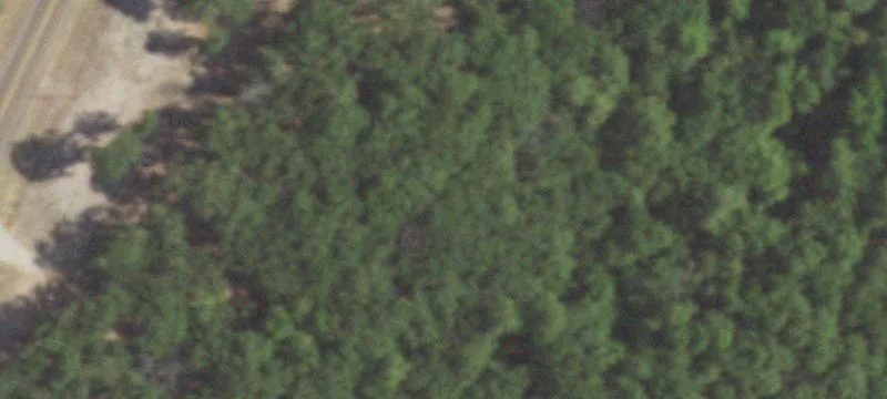 19357 Fm Rd