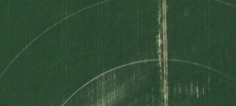 L7 B1 1481