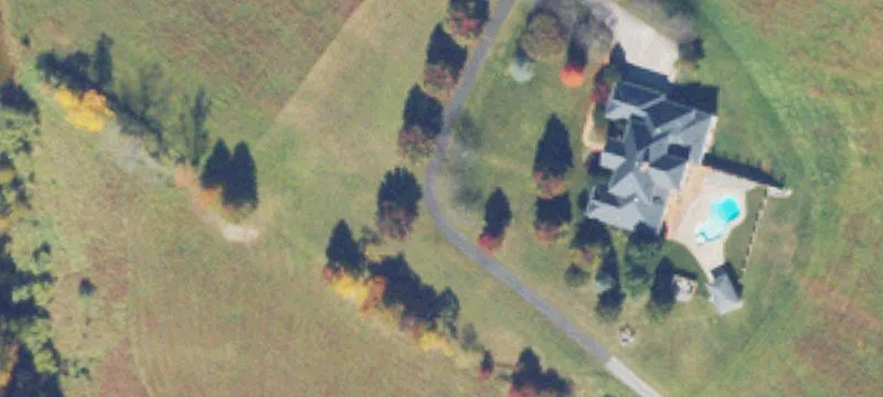 Buckland Dr