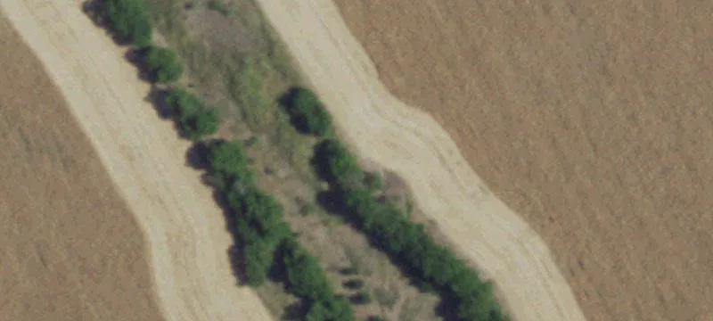 459 Tbd County Rd