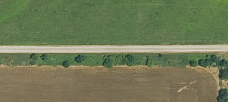 Birch Rd
