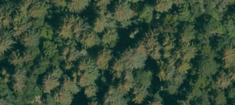 Logan Creek Rd