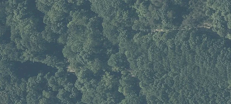 Clapper Hollow Rd