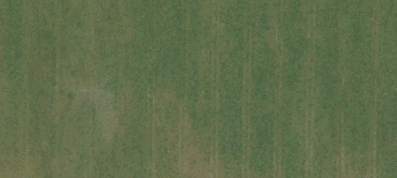 Jenny Farms