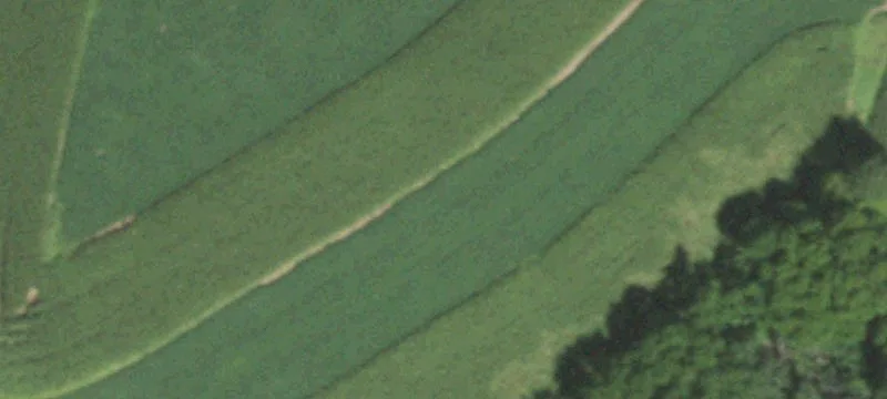Gust Rd