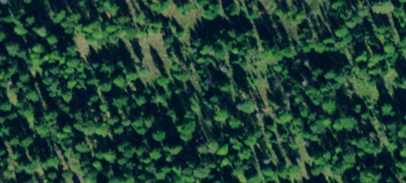 301 Haskill Rnch Rd