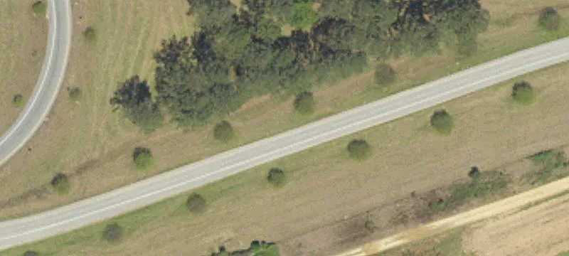 Leader Rd
