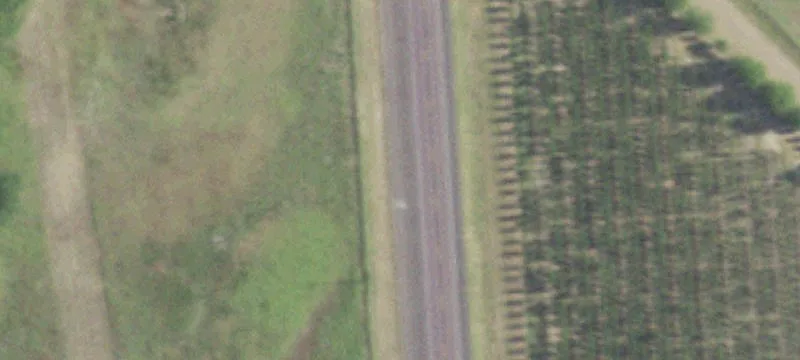 Tx-19