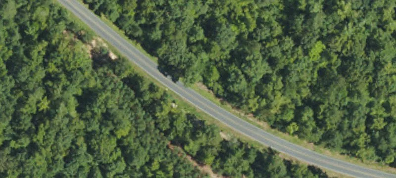 Holly Grove School Rd