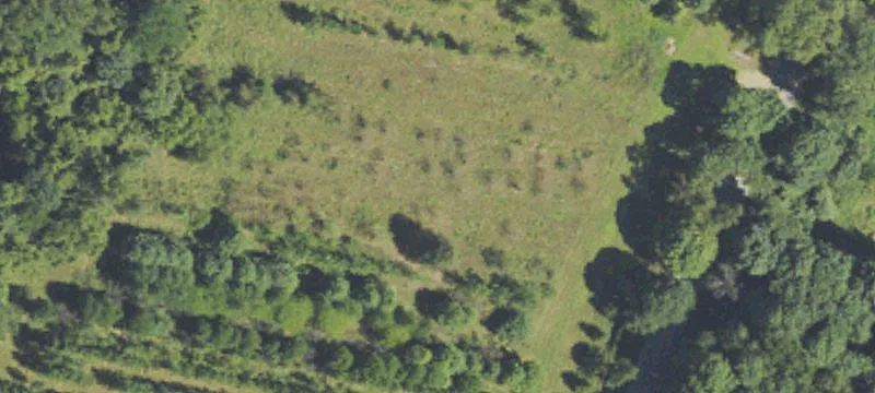 10505 18 Mile Rd