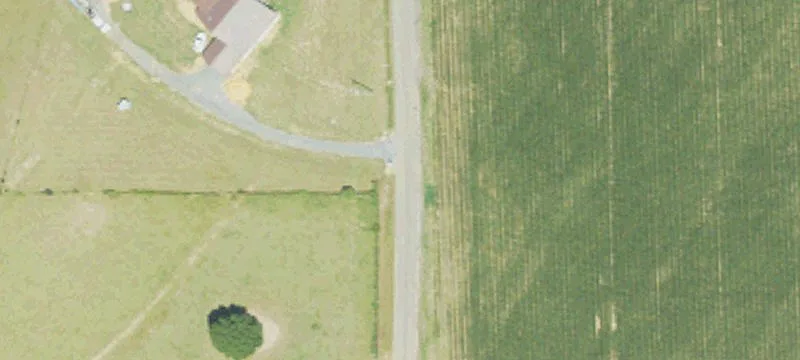 D Williams Rd