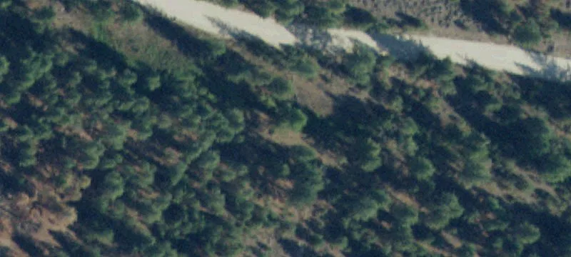 419 Treece Gulch Rd