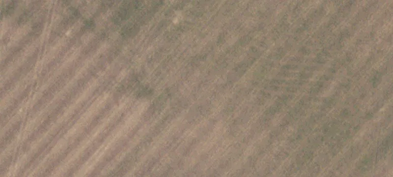 Fm 1361