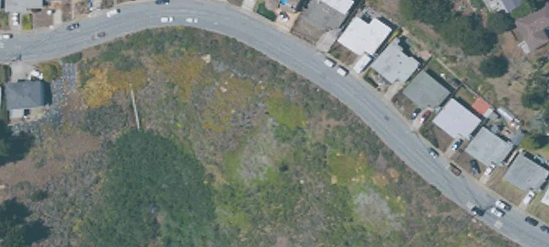 Manor Dr