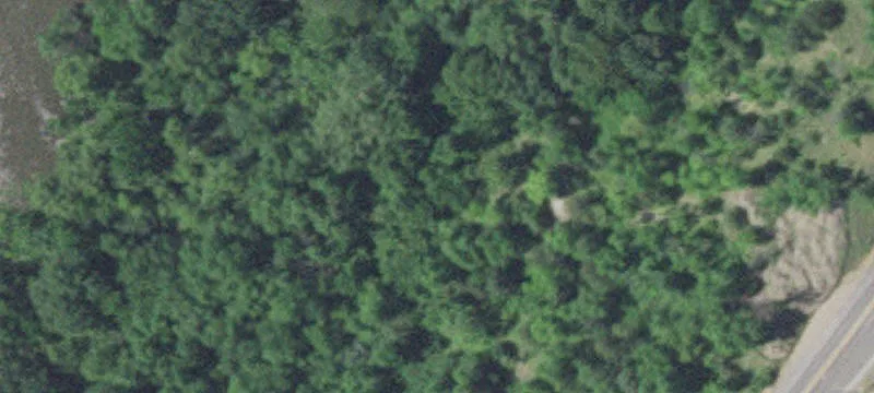 9000 County Road 50