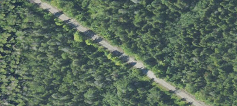 Seney Rd