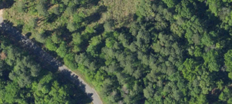 350 Pine Log Rd