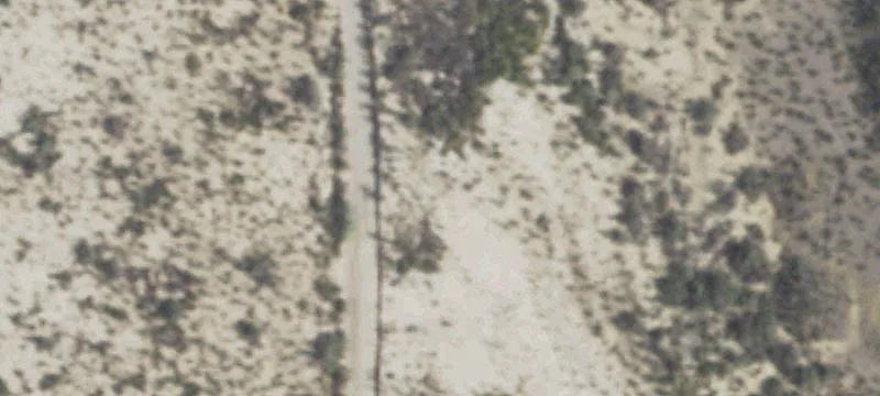 31466b Ringtail