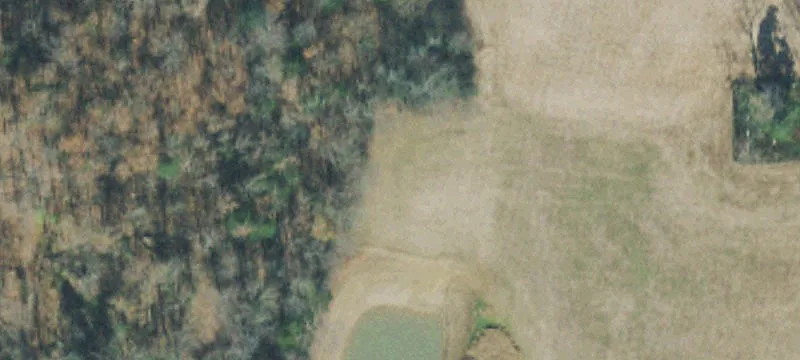 50 Acres
