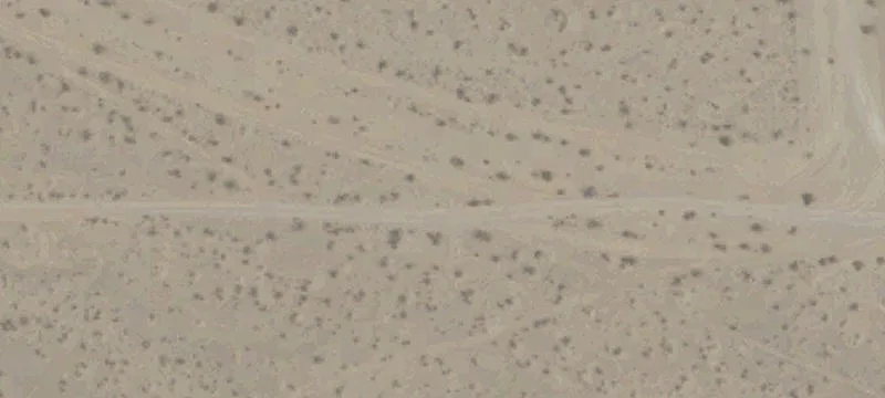 Desert Flower Rd