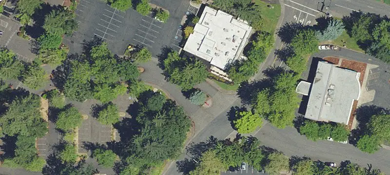 Kruse Oaks Dr
