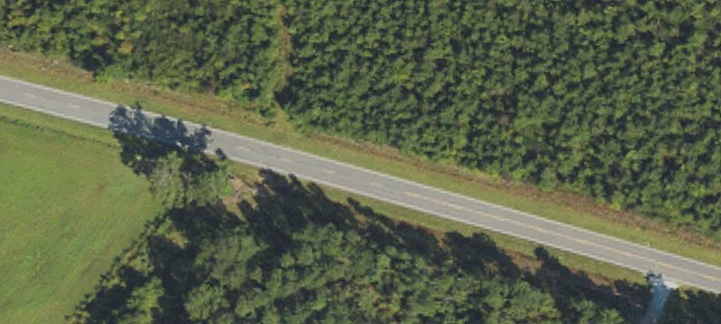 Old Lake Rd