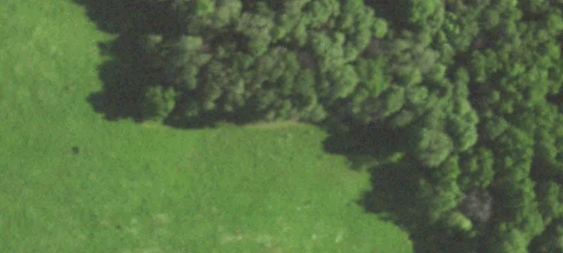 3 County Road Id