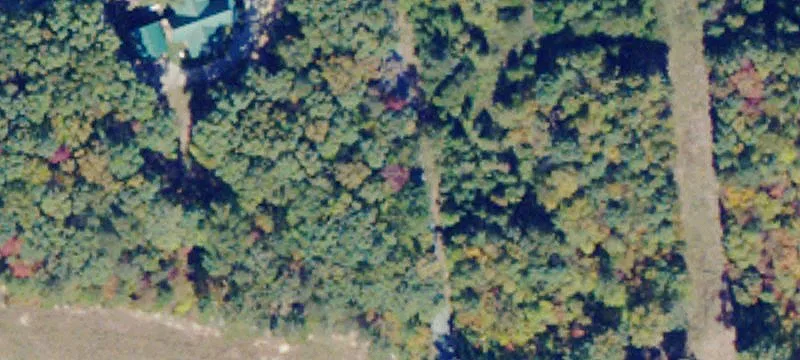 Henderson Rd