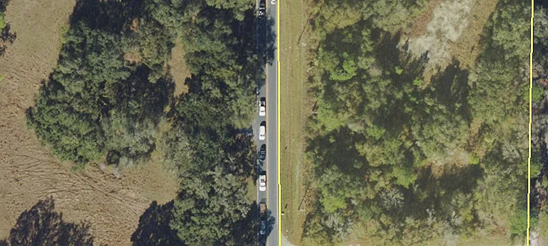 Hayes Rd Fl 33513
