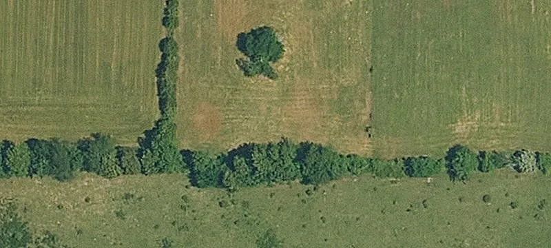 Deer Rd