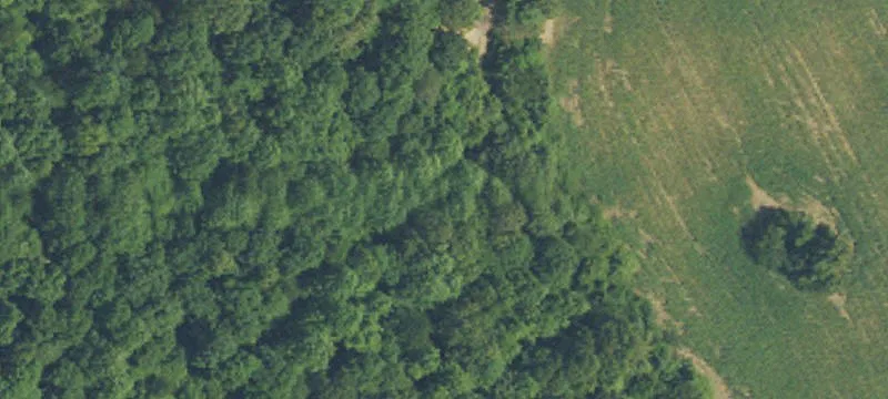 Ray Peek Rd
