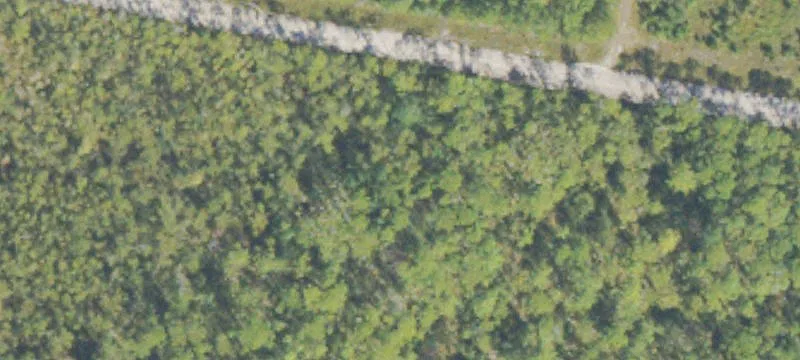 Kings Bay Rd