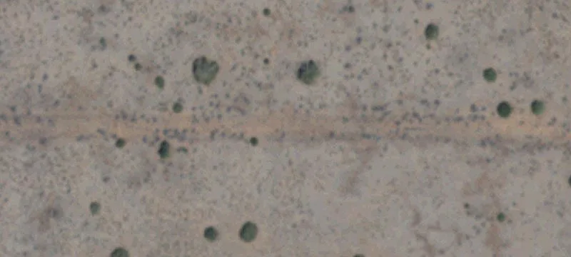 Bobcat Ln