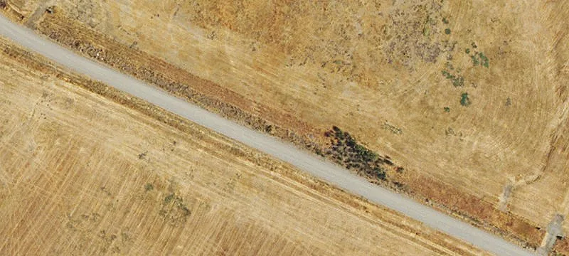 Steens Rd