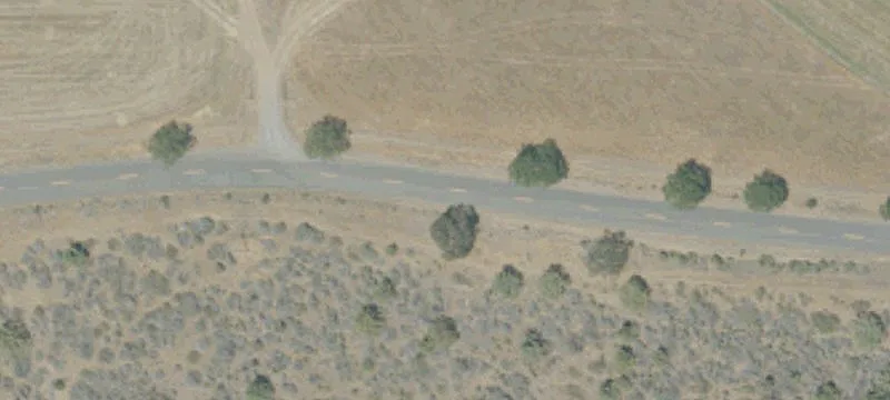 Scarface Rd