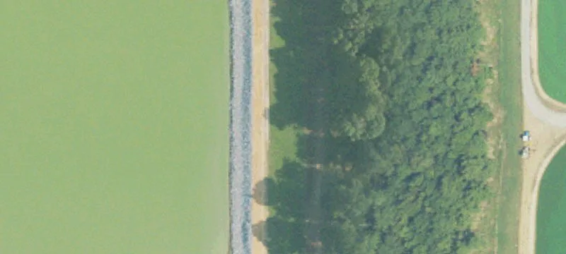 620 Acres In Neshoba County