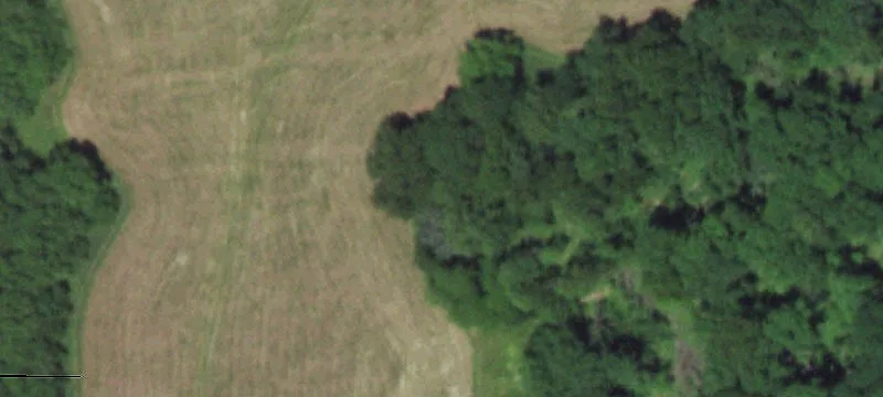 319 Co Rd