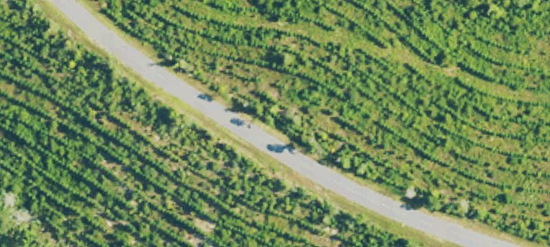 Chicora River Rd