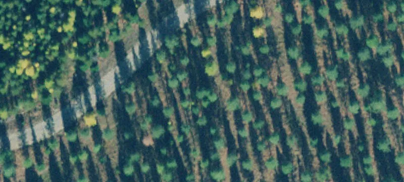 Tbd Lakota Loop