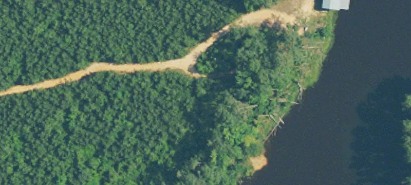 68 Acres In Covington County