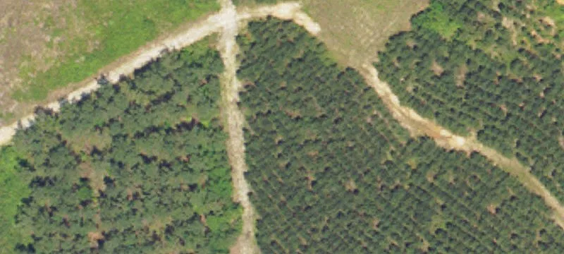 8+/- Acres In Butler County