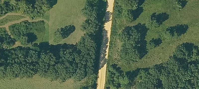 Cardinal Rd