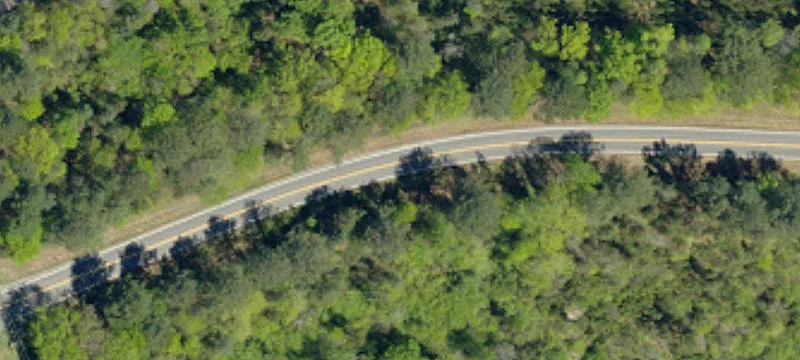 Village Dr