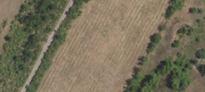 14433 Gregg Manor Rd
