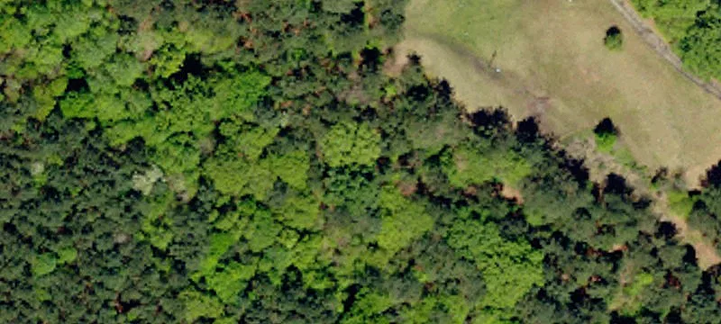 in SC! Restaurant For Sale With Approx. 1.11 Acres Of Real Est
