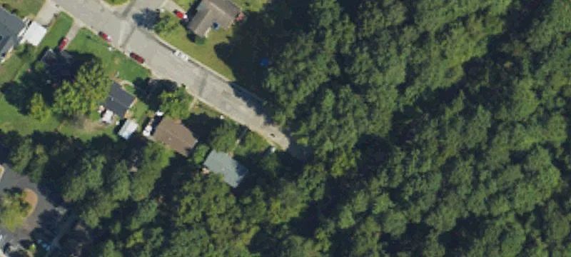 Pine Tree Rd
