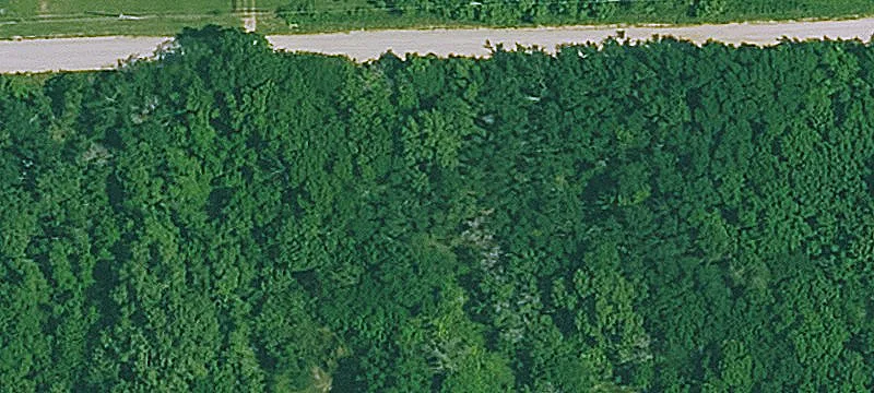 272Nd Rd