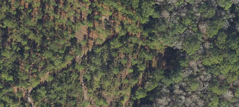 1404 Pacific Dr