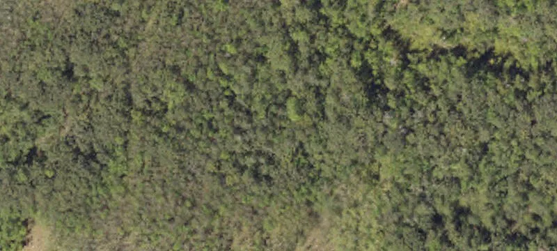 301 Gumbo Loop