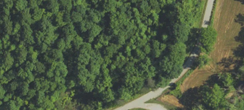 1010 Upper Cane Creek Rd